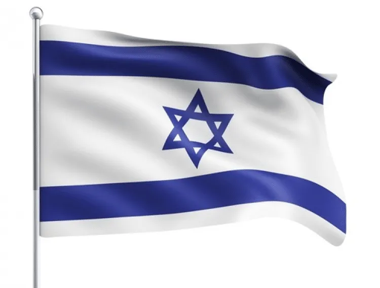 דגל ישראל ענקי 3*1.1 מטר