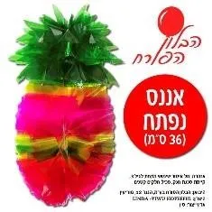 אננס נפתח לקישוט סוכה