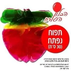 תפוח צבעוני לקישוט סוכה