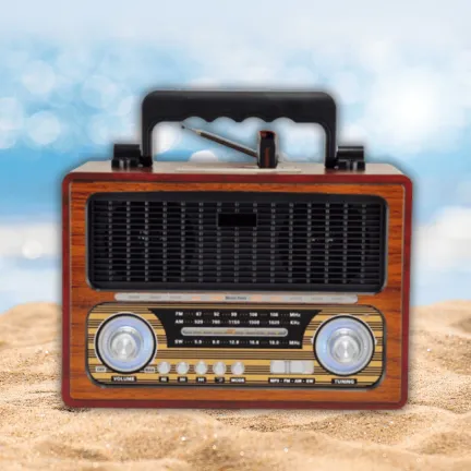 רדיו טרנזיסטור נייד FM AM מעוצב | מתאים לממ"דים ומקלטים MD-1800BT