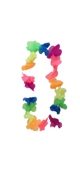 12 שרשראות הוואי צבעוניות