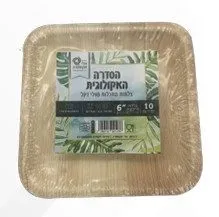 צלחות מרובעות דקל 15*6 ס"מ 10 יח