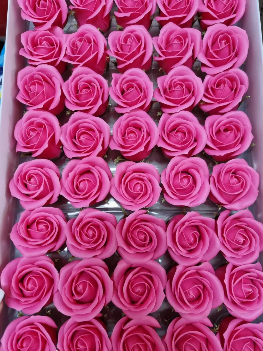 פרחי סבון גדולים