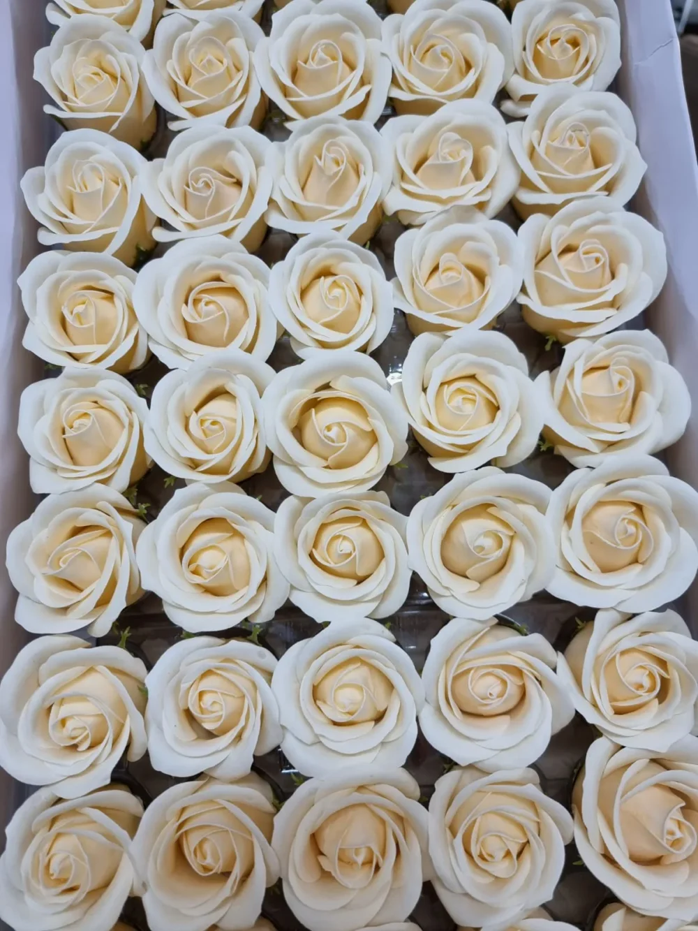 פרחי סבון גדולים