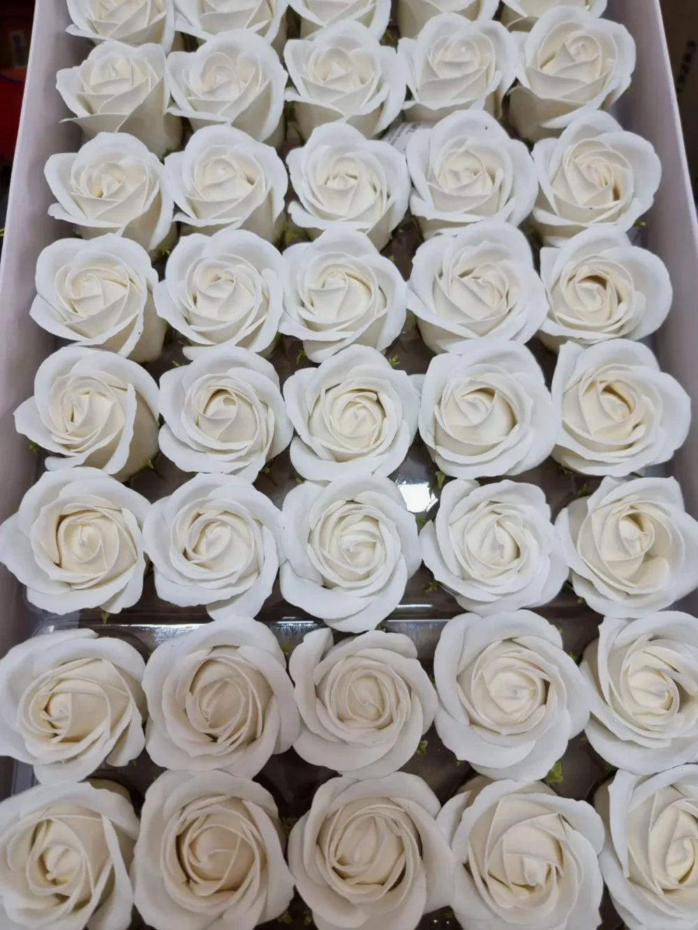 פרחי סבון גדולים