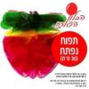 תפוח צבעוני לקישוט הסוכה