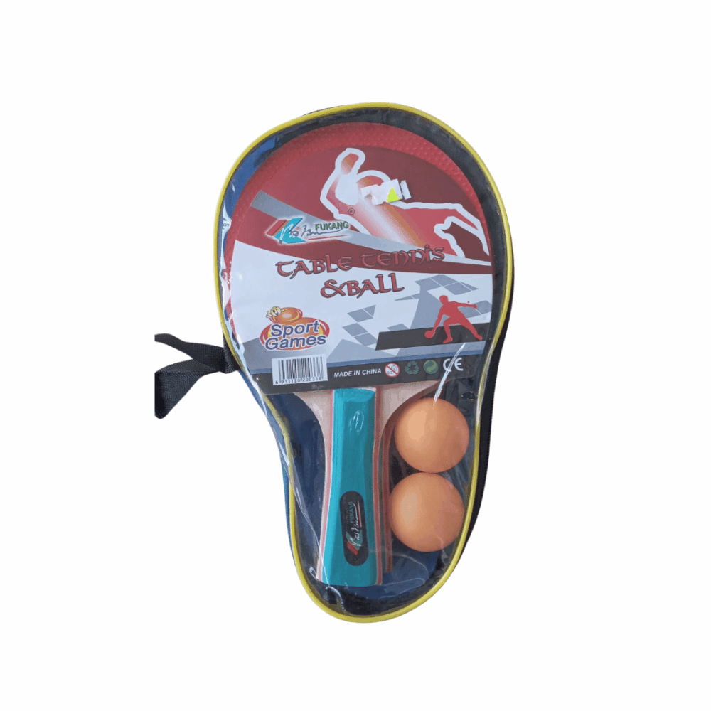 משחק פינג פונג שולחני