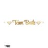 שרשרת אותיות לתלייה Team Bride