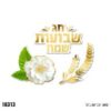 גיזרי נייר שבועות שמח – 12 יח'