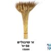זר כ – 50 יח' שיבולים טבעי