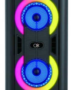 רמקול Bluetooth עוצמתי 4X2" אינץ’ BT-2452 + מיקרופון