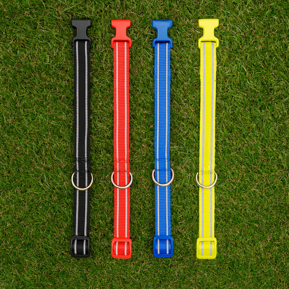 קולר לכלב קליפס – צבעוני זוהר