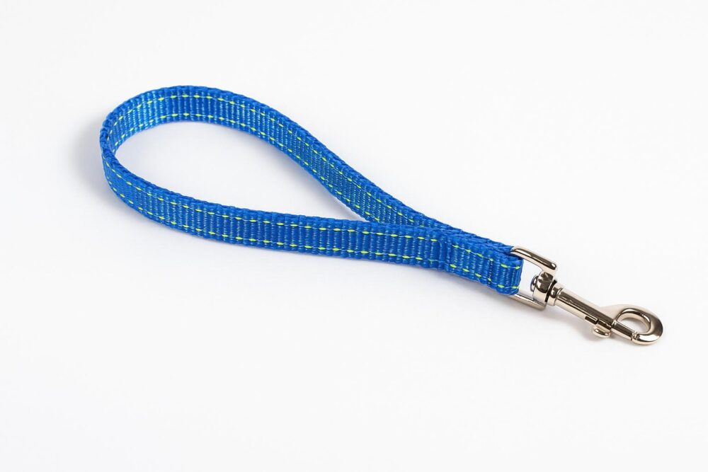 Alternative view of רצועה לכלב – כחולה