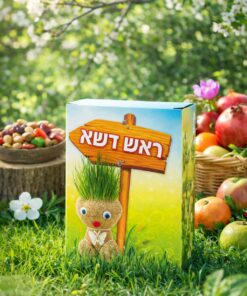 ערכת יצירה “ראש דשא” – מגדלים שיער ירוק וצוחק 🌿