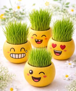 ראש דשא חיוך – מגדלים דשא עם חיוך 🌱😄