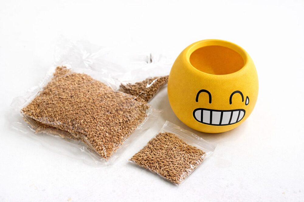 Alternative view of ראש דשא חיוך – מגדלים דשא עם חיוך 🌱😄