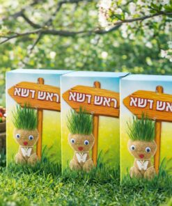 מארז 55 ערכות יצירה “ראש דשא” – מגדלים שיער ירוק וצוחק 🌿