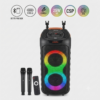 בידורית סטריאו מקצועית SOUNDPRO+ 30W עוצמה כפולה לכל אירוע גודל - L